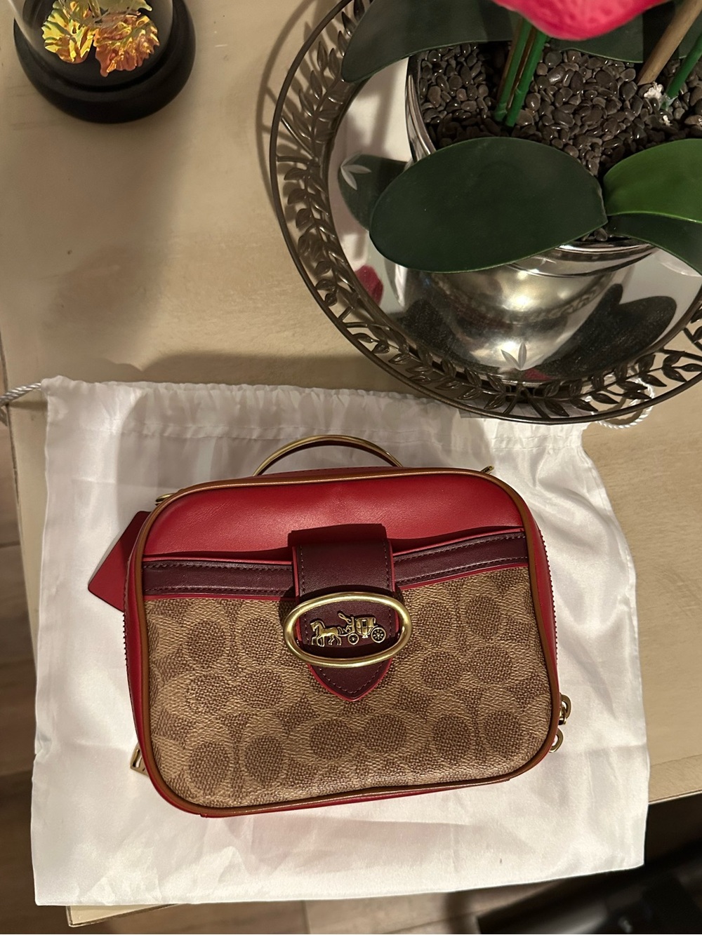 🌺 Coach Riley Lunchbox - Red/Signature